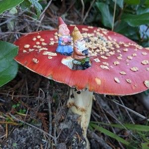 Meet your Posher, Anne marie